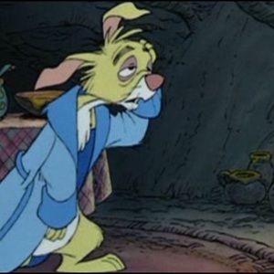 Meet your Posher, Jay